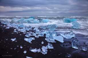 Icebergs on black sand beach-9310